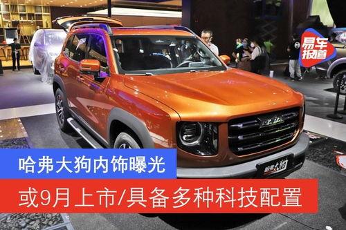 大狗最新爆料图片大全视频,图片大全视频揭秘，精彩瞬间一网打尽  第3张